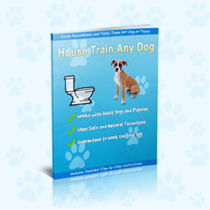 House Train Any Dog